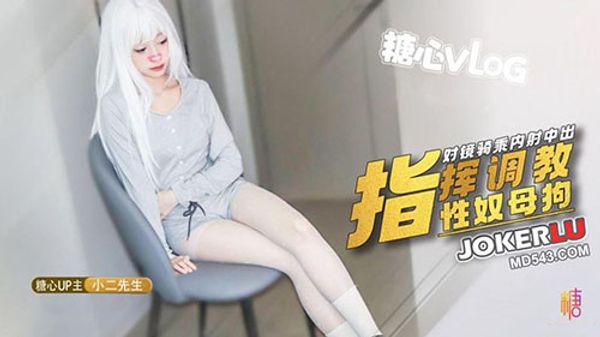 Video Poster